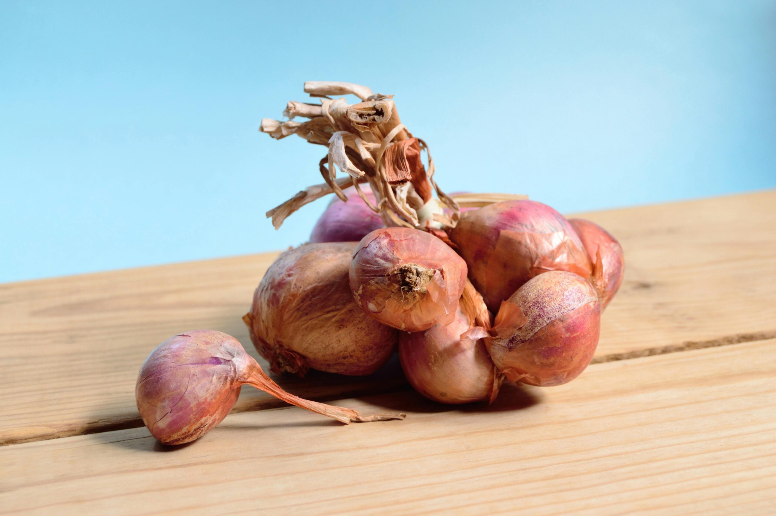 Premium Fresh Onions for Sale | High Quality & Flavorful